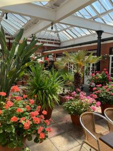 szklarni pełnej roślin i kwiatów w obiekcie The Carre Arms Hotel & Restaurant w mieście Sleaford
