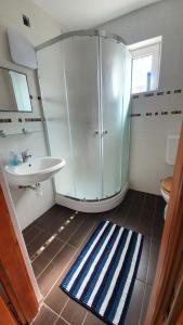 a bathroom with a sink and a glass shower at Littlepanther Balaton in Balatonföldvár +14 photos