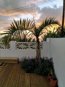 Zahrada ubytování Casa Los Morros + 14 fotografií