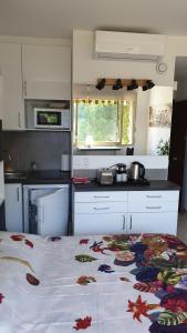 Garden and beach sea view apartment Cannes的厨房或小厨房