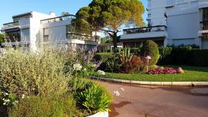 Garden and beach sea view apartment Cannes外面的花园