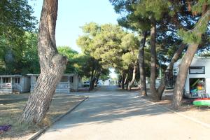 Fotografie z fotogalerie ubytování Mobilehome Vodice v destinaci Vodice