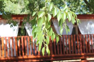 Fotografie z fotogalerie ubytování Mobilehome Vodice v destinaci Vodice