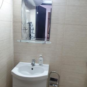 a bathroom with a sink and a mirror at Alfa Relax Apartments in Saturn +19 photos