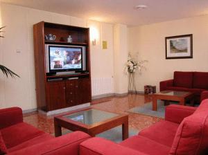 Μια τηλεόραση ή/και κέντρο ψυχαγωγίας στο Hotel Touris