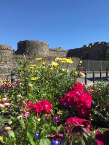 a bunch of flowers in front of a castle at Holiday Home Church Street in Beaumaris