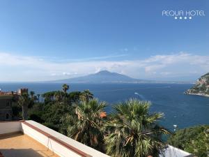 a view of the ocean and a mountain at Aequa Hotel in Vico Equense