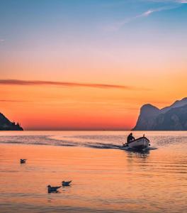 a man in a boat in the water with two ducks at Hotel Vela Azzurra in Malcesine