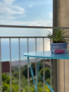 einem blauen Tisch mit Topfpflanze auf dem Balkon in der Unterkunft Alma Cilento in Ascea