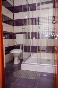 a bathroom with a toilet and a shower at Casa Raul in Eforie Nord