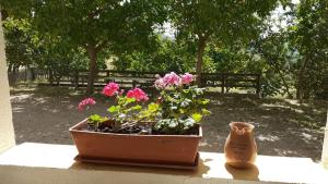 Φωτογραφία από το άλμπουμ του Agriturismo S'Armidda σε Seùlo