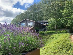 a house with a garden with purple flowers at Chalet de la Sablière in Amougies