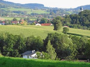 a farm in the middle of a green field at Ferienwohnung Hofstatt in Lalling