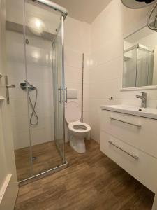 y baño con ducha, aseo y lavamanos. en Apartments Tajana, en Novigrad Istria
