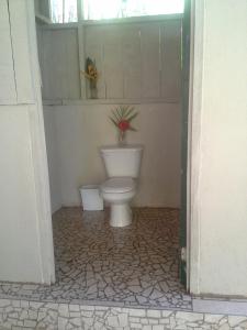 a bathroom with a toilet with a plant on the wall at Complejo Ecoturistico Tamandua in Drake