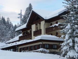 un hotel en la nieve con árboles nevados en Albergo Nuoitas, en Forni di Sopra
