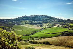 a green hillside with a town on top of it at CUGUSI BnB in Montepulciano