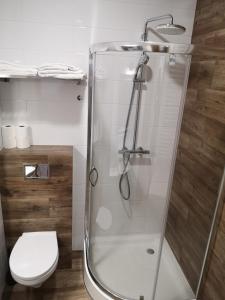 uma casa de banho com um chuveiro e um WC. em Apartamenty Lawendowy Zakątek 4 em Opole
