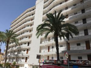 een hoog wit gebouw met een palmboom ervoor bij BERMUDAS-TURIS Apartamentos in Benidorm