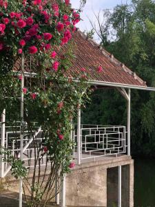 ein weißer Pavillon mit rosa Rosen drauf in der Unterkunft Villa Elita - Bela Crkva in Bela Crkva
