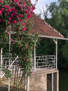 Garden sa labas ng Villa Elita - Bela Crkva +37 photo