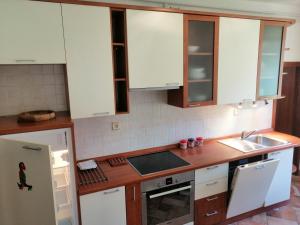 Virtuvė arba virtuvėlė apgyvendinimo įstaigoje Apartma 2000 Tolmin