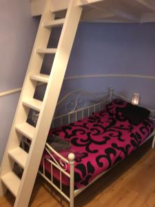 een stapelbed in een kamer met een paarse muur bij Tyne Bridge View in Newcastle upon Tyne