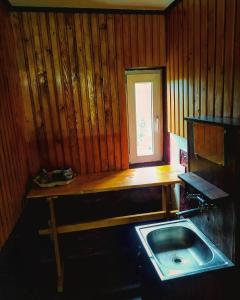 eine Küche mit einem Waschbecken und einer Holzwand in der Unterkunft Садиба у пані Марії in Worochta