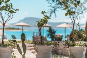 un grupo de plantas en macetas en una playa en Psamathi Living & Taste en Marathi