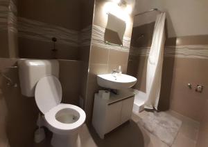 Łazienka z białą toaletą i umywalką w obiekcie Peak Apartman w Egerze