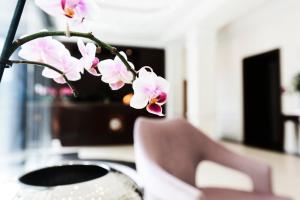 Televiisor ja/või meelelahutuskeskus majutusasutuses Kleiner Rosengarten