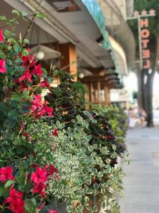 Fotografie z fotogalerie ubytování Hotel Corallo v Lignanu Sabbiadoru