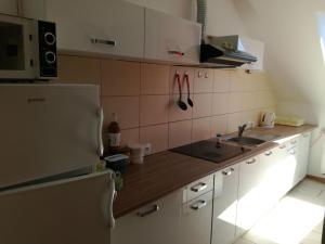 a small kitchen with a sink and a refrigerator at U Justyny in Chróścice