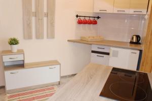 Kuchnia lub aneks kuchenny w obiekcie Apartament BazaTatry Stokrotka