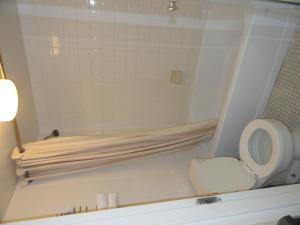 a bathroom with a shower with a toilet and a tub at Grand Rapids Inn in Grand Rapids