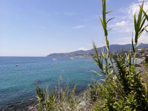 widok na ocean z łodziami w wodzie w obiekcie Villaggio Turistico LA VESCA w San Remo