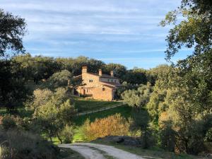 una casa vieja en una colina al lado de un camino de tierra en Apartamentos Rurales La Macera ****, en Valencia de Alcántara