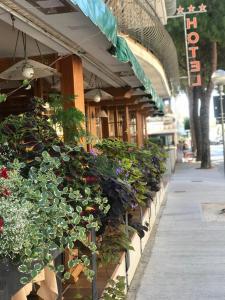 Fotografie z fotogalerie ubytování Hotel Corallo v Lignanu Sabbiadoru