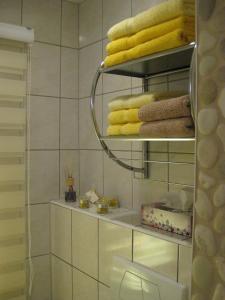 a bathroom with a shelf with towels on it at Ferienwohnung Familie Frank in Kurort Rathen