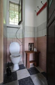 a bathroom with a toilet and a window at Chatička - Spálov in Semily