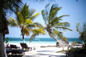 a beach with chairs and palm trees and the ocean at Coconut Village Beach Resort in Diani Beach