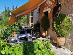 セプルベダにあるHotel Rural & SPA Puente del Duratónの椅子と植物のある家のパティオ
