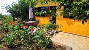 Zahrada ubytování Casa Fátima Valle Gran Rey