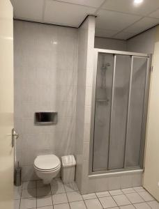 een badkamer met een toilet en een douche bij Appartement Makkum aan het strand in Makkum