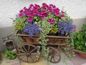 オーバーヴィールにあるApartment Bärgfriede by Interhomeの色鮮やかな花がたくさん並ぶ木製の荷車