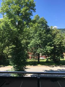 Príroda v okolí apartmánu