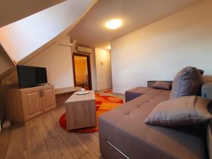 a living room with a couch and a tv at Kon Tiki in Sibiu