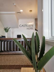 a potted plant sitting on a table in a lobby at Hotel Castillete in Santa Cruz de la Palma