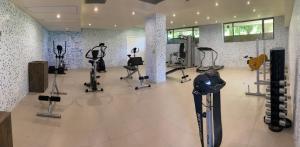 Fitness centrum a/nebo fitness zařízení v ubytování Hotel Kamenec