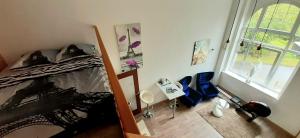a bedroom with a bunk bed and a window at Apartmány Vila Singles in Litoměřice